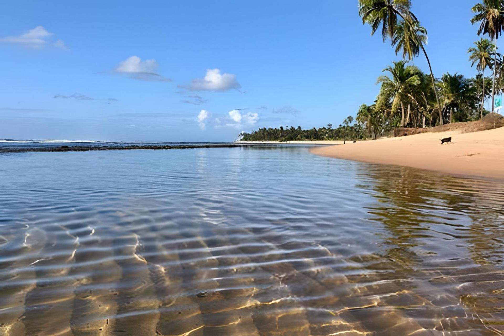 Praia Do Forte Apartamento Fantastico מראה חיצוני תמונה